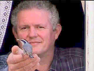 hand-feeding Nuthatch through window