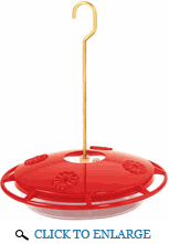 hummingbird feeder to feed hummingbirds